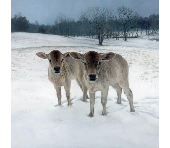"Snow Cows" - Rebecca Luncan